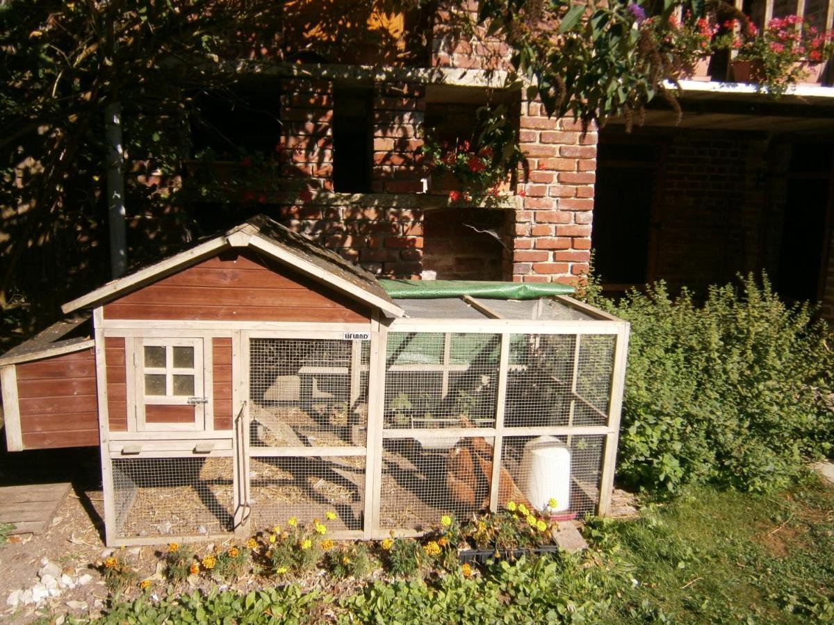 Aux Sources De L'Ancre Bed & Breakfast Miraumont Exterior photo